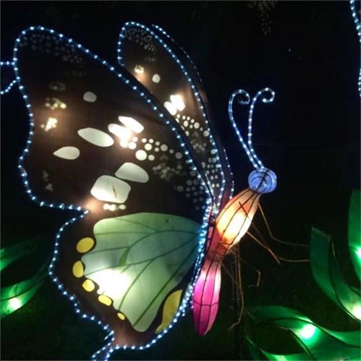 Event Lighting Show