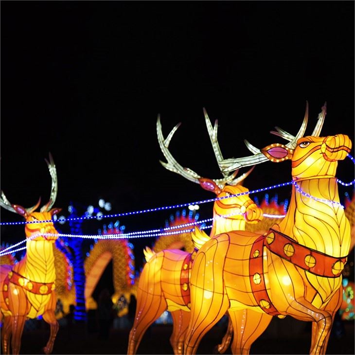 Sab nraum zoov Christmas Ntsiab Teeb Teeb Teeb Tsiaj Deer Lantern Festival